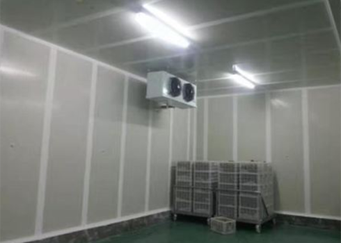 建造月饼低温仓库 建造月饼低温仓库