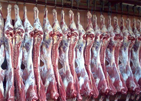 肉制品冷藏库建造成本 肉制品冷藏库建造成本