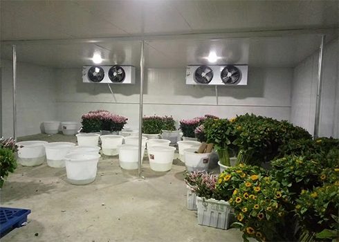 鲜花保鲜冷库建造 鲜花保鲜冷库建造