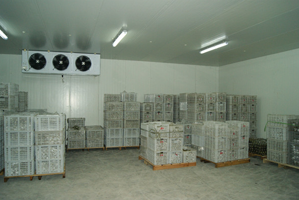 气调冷库建造厂家 气调冷库建造厂家