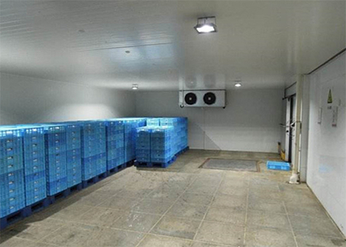 气调冷库建造安装 气调冷库建造安装