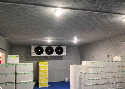 保鲜冷库建造要求 保鲜冷库建造要求