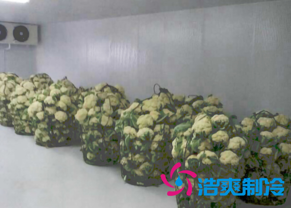 食品冷库保鲜库设计安装方案及其储藏效果 食品冷库保鲜库设计安装方案及其储藏效果