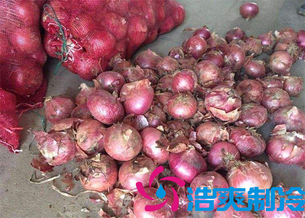 建造1000吨洋葱保鲜冷库安装费用是多少? 建造1000吨洋葱保鲜冷库安装费用是多少?