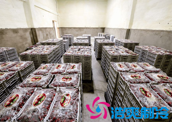 果蔬保鲜冷库安装造价需要多少钱?_浩爽制冷 果蔬保鲜冷库安装造价需要多少钱?_浩爽制冷