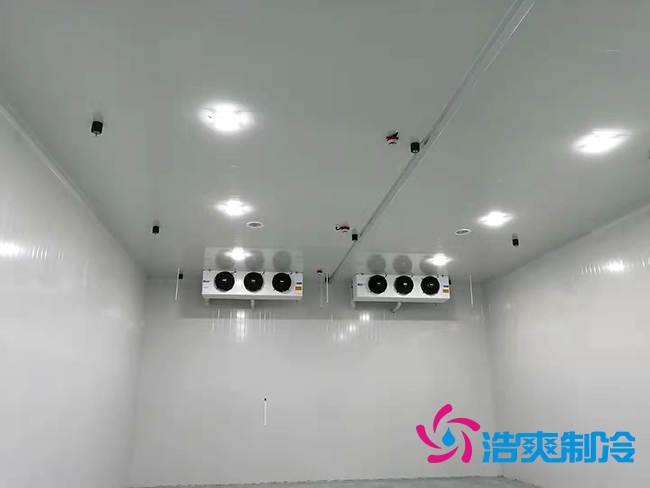 超低温冻库建设价格与哪些因素有关?_浩爽制冷 超低温冻库建设价格与哪些因素有关?_浩爽制冷