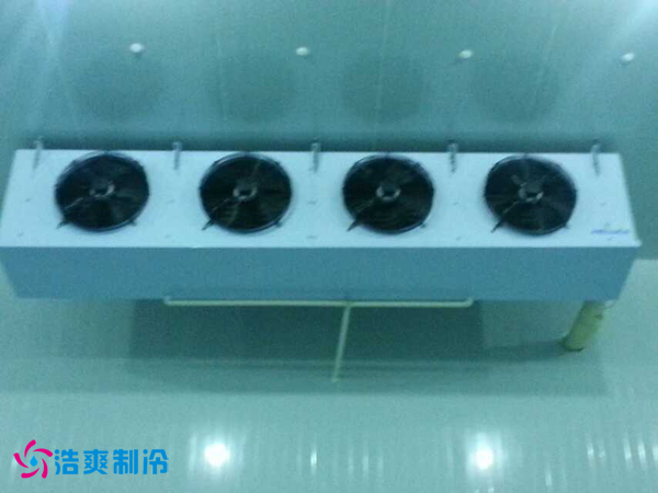 干果保鲜冷库安装