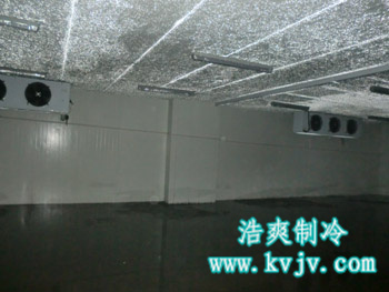 成都环球会展配送中心大型冷库