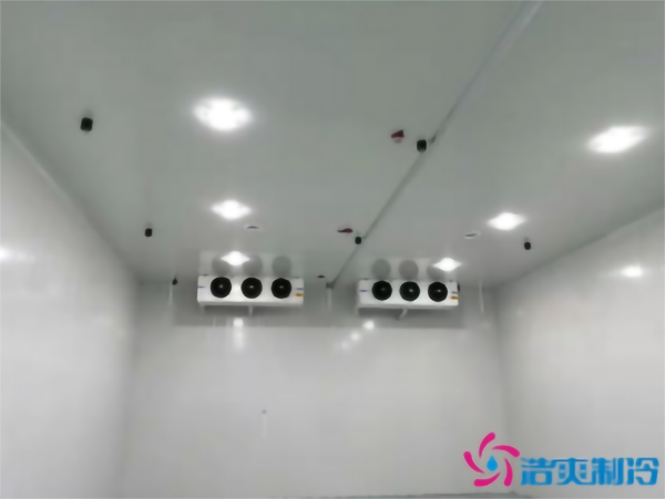 茄子气调冷库安装存储方法_浩爽制冷 茄子气调冷库安装存储方法_浩爽制冷
