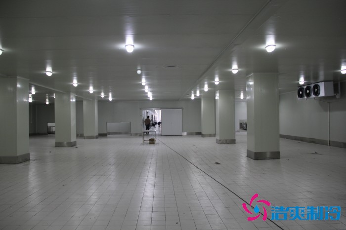 江苏通达1500㎡农产品低温冷藏冷冻库建造 江苏通达1500㎡农产品低温冷藏冷冻库建造