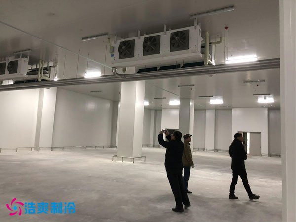 建造一间凤梨保鲜冷库费用需要多少钱?_浩爽制冷 建造一间凤梨保鲜冷库费用需要多少钱?_浩爽制冷