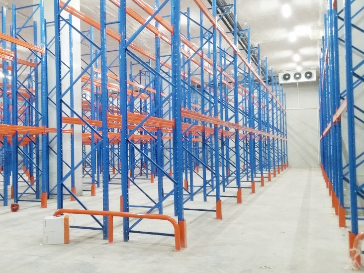 建造一个水果和蔬菜的新鲜冷藏室要花多少钱呢?_浩爽制冷 建造一个水果和蔬菜的新鲜冷藏室要花多少钱呢?_浩爽制冷