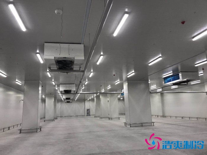 新疆石河子市新伟盟农畜产品6000立方气调库工程案例