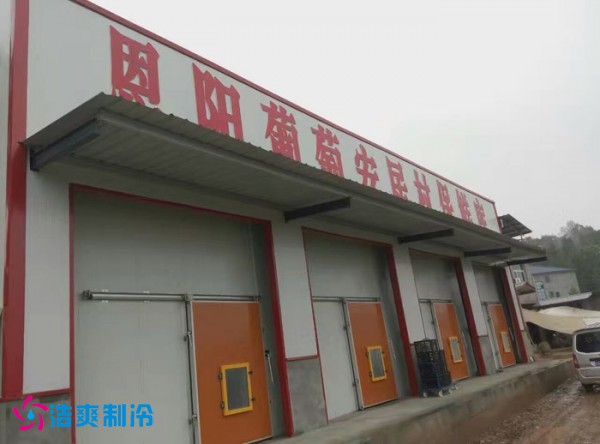 巴中葡萄种植合作社气调保鲜冷库建造 巴中葡萄种植合作社气调保鲜冷库建造