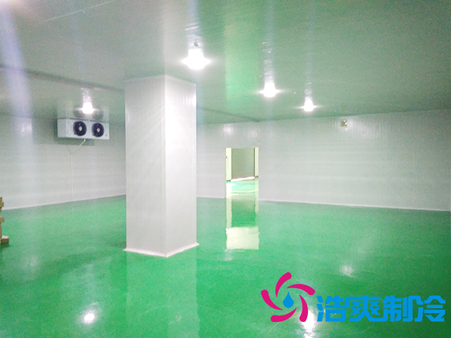上海立净淮安百斯特农业园保鲜冷库建造 上海立净淮安百斯特农业园保鲜冷库建造