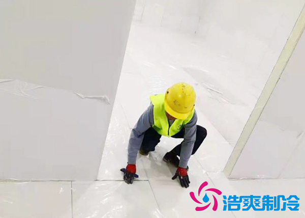 影响蓝莓保鲜冷库价格的因素有哪些?_浩爽制冷 影响蓝莓保鲜冷库价格的因素有哪些?_浩爽制冷