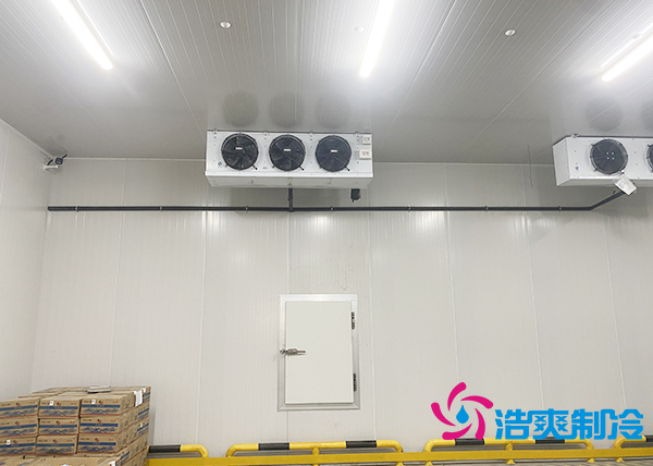 建一个500吨的大蒜冷库每平方米要花多少钱?-浩爽制冷 建一个500吨的大蒜冷库每平方米要花多少钱?-浩爽制冷