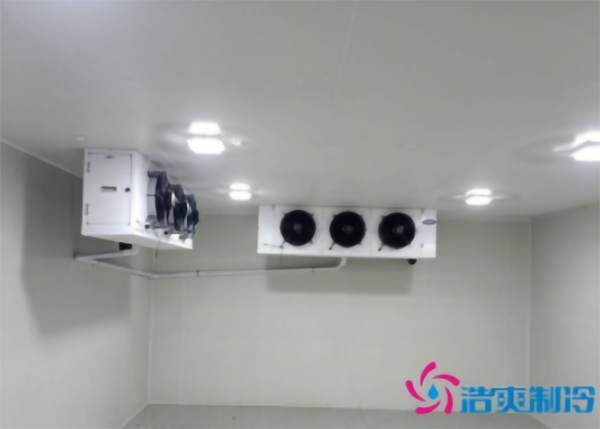 蔬菜种植基地建造600立方米保鲜冷库大概需要多少钱？-浩爽制冷