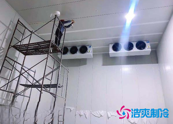 建造一个果蔬种植园气调冷库安装造价大概投资多少钱?-浩爽制冷 建造一个果蔬种植园气调冷库安装造价大概投资多少钱?-浩爽制冷