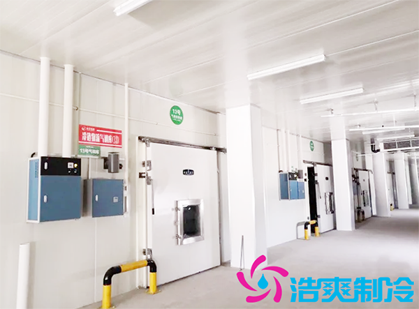 农产品批发市场建造700立方保鲜冷库全套制冷设备报价多少钱？-浩爽制冷