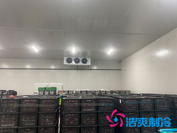 嘉定鸡蛋冷库安装建造多少钱?-浩爽制冷 嘉定鸡蛋冷库安装建造多少钱?-浩爽制冷