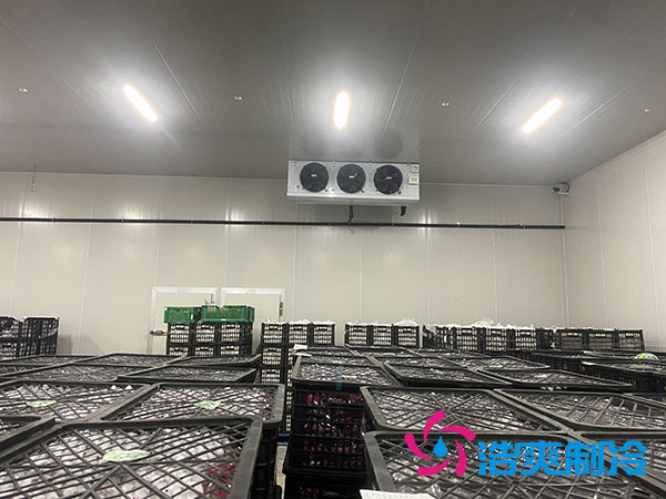 嘉定鸡蛋冷库安装建造多少钱?-浩爽制冷 嘉定鸡蛋冷库安装建造多少钱?-浩爽制冷