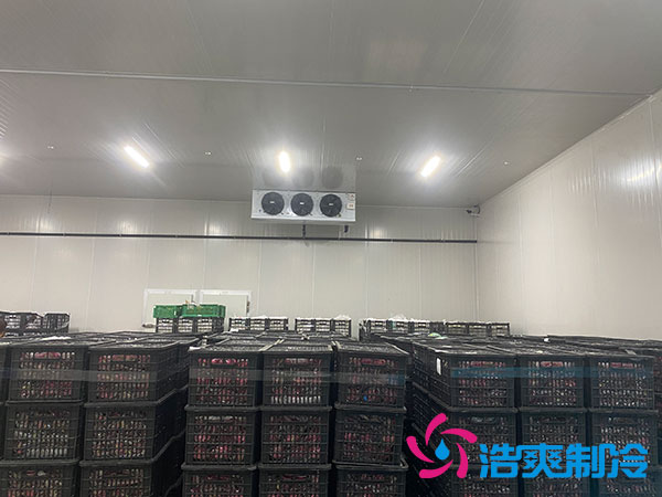 中型冷库安装造价多少钱?中型冷库造价表-浩爽制冷 中型冷库安装造价多少钱?中型冷库造价表-浩爽制冷
