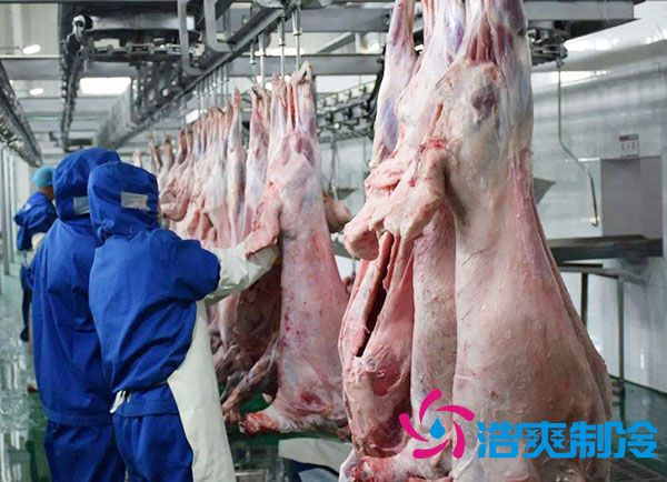 排酸冷库安装价钱多少钱?-浩爽制冷 排酸冷库安装价钱多少钱?-浩爽制冷