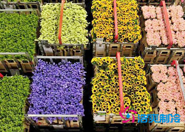 花卉冷库安装预算造价多少钱?-浩爽制冷 花卉冷库安装预算造价多少钱?-浩爽制冷