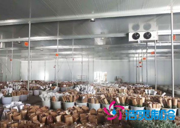 鲜花冷库安装报价明细表清单,不同规格鲜花冷库造价表-浩爽制冷 鲜花冷库安装报价明细表清单,不同规格鲜花冷库造价表-浩爽制冷