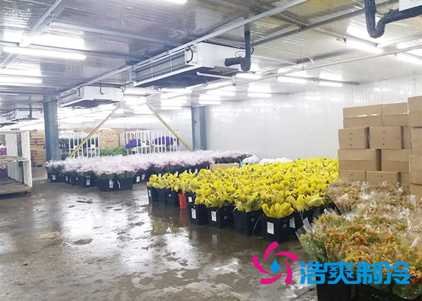 做个鲜花冷库要多少钱?-浩爽制冷 做个鲜花冷库要多少钱?-浩爽制冷