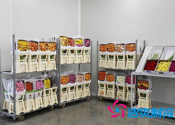 鲜花冷库多少钱一平方?-浩爽制冷 鲜花冷库多少钱一平方?-浩爽制冷