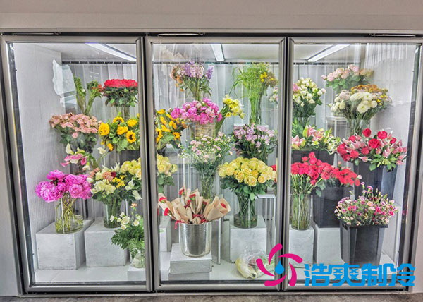 花店冷库适合风冷还是直冷?-浩爽制冷 花店冷库适合风冷还是直冷?-浩爽制冷