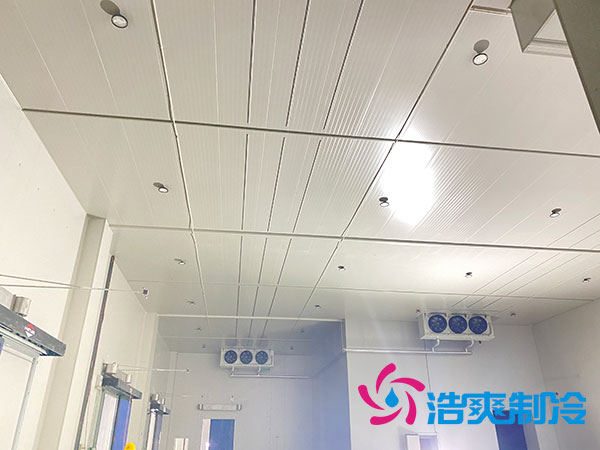 江苏大型冷库设计 江苏大型冷库设计