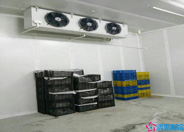 西藏微型气调保鲜冷库造价.jpg