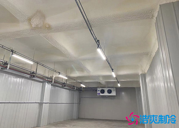 低温冷库建造用风冷好还是排管好?.jpg