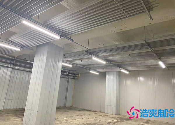 600吨货物需要建造多大的冷藏库?.jpg