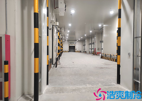 蔬菜农产品储存应该选择什么类型的冷库?.jpg