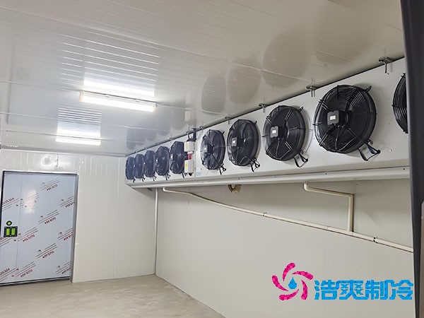 建造500平方米梨子保鲜冷库的费用是多少?-浩爽制冷