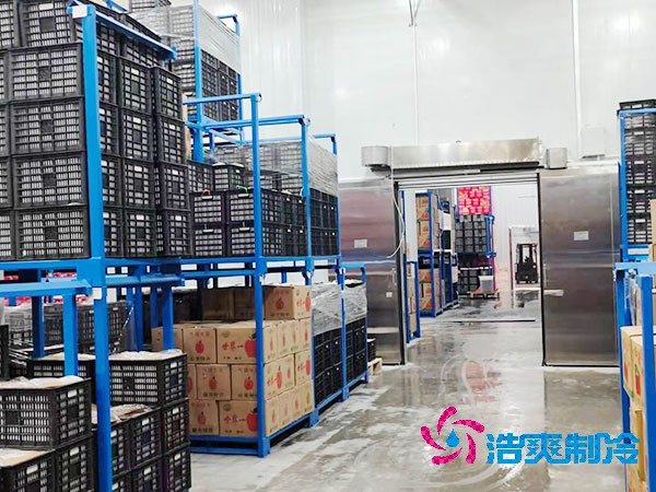 生鲜冷链物流冷库建造价格