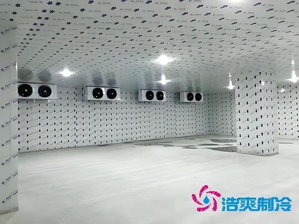 建一个生姜冷库造价造价大概多少钱?-浩爽制冷