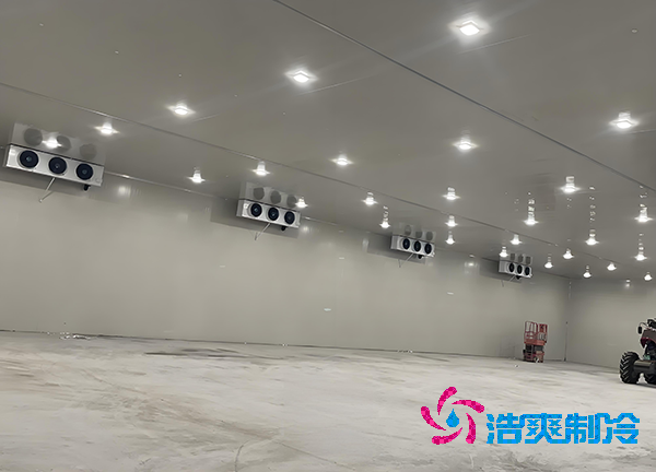 -18℃冻肉能放半年?揭秘食品冷库造价秘密!-浩爽制冷
