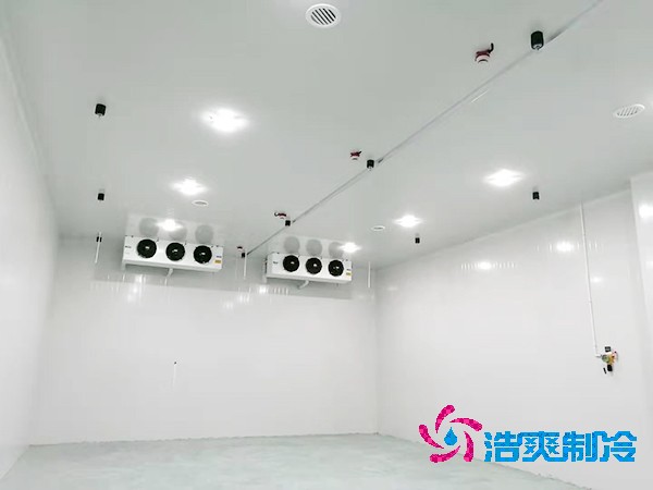 冷库造价揭秘:300平方米到底要花多少钱?-浩爽制冷