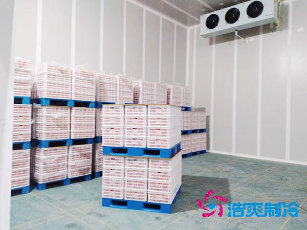 火龙果保鲜冷库造价