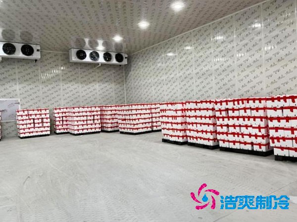 火龙果保鲜冷库造价