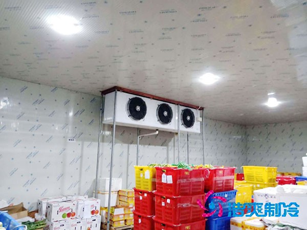 坚果冷库造价