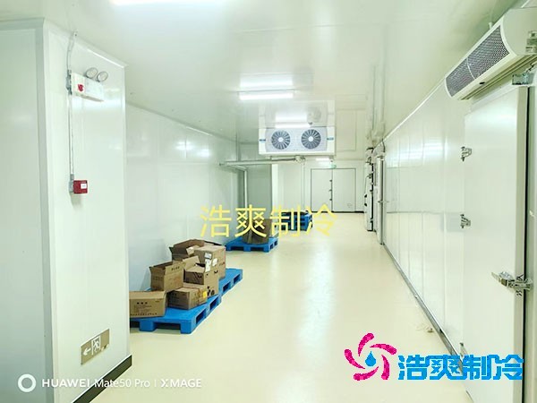 荔枝冷库安装价格多少钱一平方米?荔枝冷库可以放多久-浩爽制冷