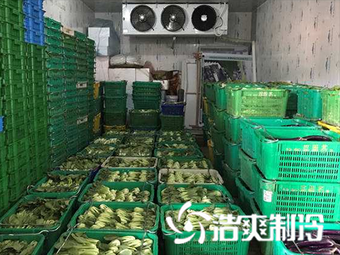 生鲜食品物流冷库
