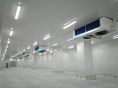 河北周黑鸭新工厂项目1#车间冷库建造 河北周黑鸭新工厂项目1#车间冷库建造