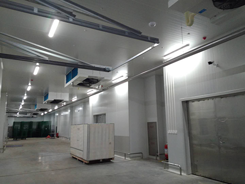 河北周黑鸭新工厂项目1#车间冷库建造 河北周黑鸭新工厂项目1#车间冷库建造